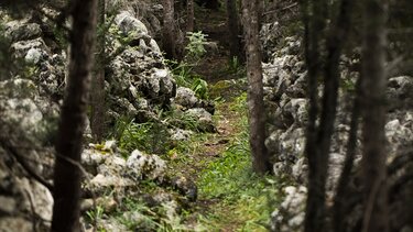 Προσωπικό για την αντιπυρική περίοδο προσλαμβάνεται στην Διεύθυνση Δασών Χανίων