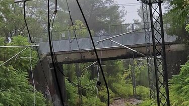 Πτώση δέντρου κόβει τα καλώδια που δίνουν ρεύμα στο τρένο