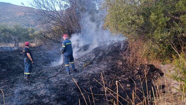 Σηκώθηκε ελικόπτερο για μεγάλη φωτιά στη Σητεία! Δείτε βίντεο και φωτογραφίες