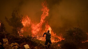 Φωτιά στην Πάρνηθα: Βίντεο "φουντώνει" το σενάριο του εμπρησμού