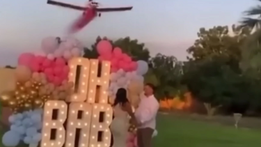 Το gender reveal party κατέληξε σε τραγωδία – Συνετρίβη το αεροσκάφος που «έδειξε» το φύλο