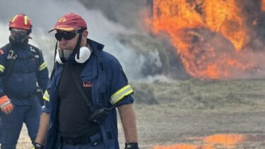 Φωτιά σε δάσος στο νότιο Πήλιο