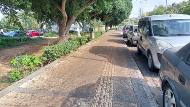 Κρύφτηκαν τα πεζοδρόμια γύρω από τα πάρκα της πόλης- Γεμάτα από σάπιους καρπούς