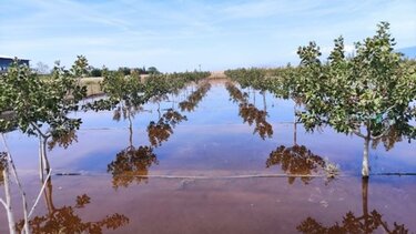 Παπαστεργίου: Σε δοκιμή ψηφιακά συστήματα έγκαιρης πρόγνωσης για περιπτώσεις πλημμύρας