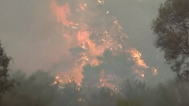 Προειδοποιητικό μήνυμα του 112 στους κατοίκους της Λευκίμμης Έβρου