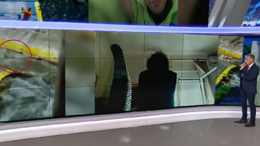 Blue Horizon: "Σκότωσαν έναν άνθρωπο μπροστά στα μάτια μου, του έλεγαν 'όξω ρε'!"