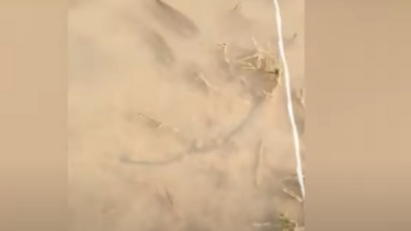 Ψάρια κολυμπούν σε πεζοδρόμιο στη Λάρισα – Απίστευτες εικόνες μετά την κακοκαιρία Daniel