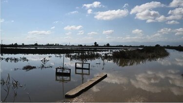 Κακοκαιρία Daniel: Τι δίνει ο θεσσαλικός κάμπος – Τι θα ακριβύνει λόγω εισαγωγών