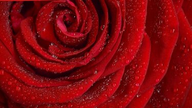 Εθελοντική αιμοδοσία στα Κάτω Καλέσσα