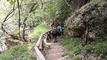 Οι "Δρόμοι Ζωής" εξερευνούν το Όρος Βρύσινας