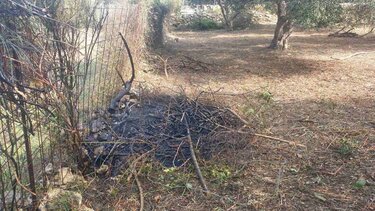 Έκαιγε κλαδιά και του επιβλήθηκε πρόστιμο!