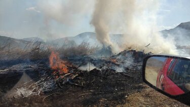 Νέα φωτιά σήμανε "συναγερμό" στην Πυροσβεστική- Δείτε φωτογραφίες