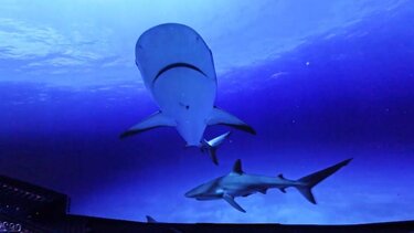 Η Γη όπως δεν την έχουμε ξαναδεί