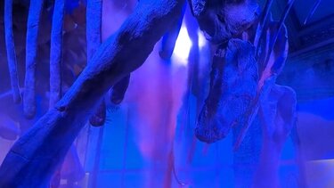 Διαδηλωτές για το κλίμα έβαψαν πορτοκαλί ομοίωμα δεινοσαύρου στο Μουσείο Φυσικής Ιστορίας του Λονδίνου