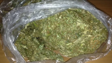 Πάτρα: «Μπλόκο» από την ΟΠΚΕ σε μεγάλη ποσότητα κάνναβης