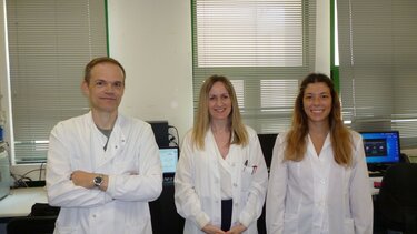 Ερευνητές του Πανεπιστημίου Κρήτης ίσως βρήκαν την "αχίλλειο πτέρνα" για τις περισσότερες μορφές καρκίνου