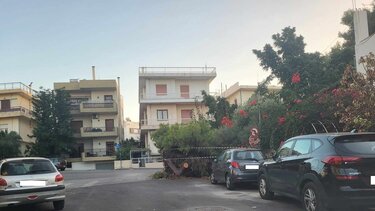 Η κοπή του δέντρου αποδείχθηκε "επικίνδυνη αποστολή"
