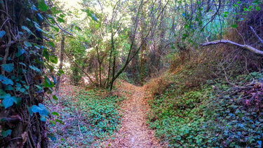 Στο φαράγγι του Καρτερού οι "Δρόμοι ζωής"