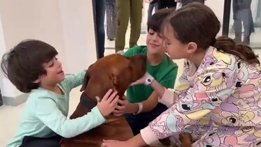 Ισραήλ: Η στιγμή που 3 αδέλφια, όμηροι της Χαμάς, βλέπουν ξανά τον σκύλο τους