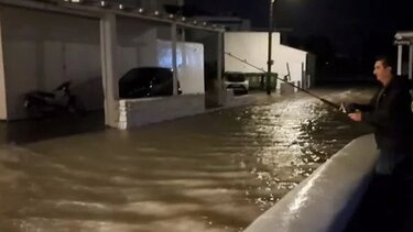 Κακοκαιρία Bettina: Καλαμάρι βγήκε… στη στεριά - Βίντεο