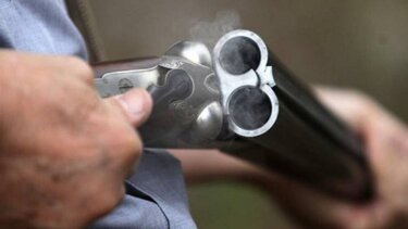 Δεν θα χορηγούνται άδειες οπλοφορίας σε δράστες ενδοοικογενειακής βίας