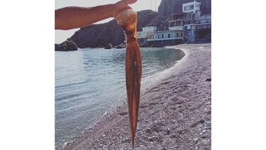 Μαζί με την βουτιά και η ψαριά!