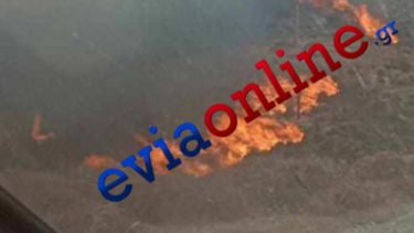 Φωτιά Εύβοια: Ανεξέλεγκτα τα μέτωπα, εκκενώθηκαν δύο χωριά