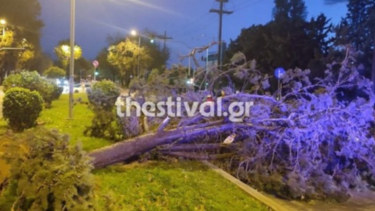 Θεσσαλονίκη: Χαμός απ' την κακοκαιρία - Στα 106 χλμ./ώρα οι ριπές του ανέμου!