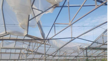 Δηλώσεις ζημιών για τα κηπευτικά στον Δήμο Κισσάμου 