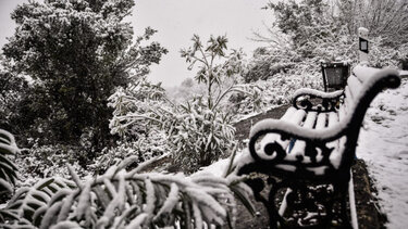 Σπανιότερα τα «λευκά» Χριστούγεννα στην Ελλάδα