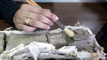 Τα 6 ιστορικά μυστήρια που έλυσαν οι επιστήμονες το 2023