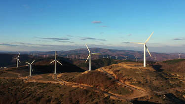 Ακόμα χωρίς μέτρα προστασίας τα καμένα οικοσυστήματα στον Έβρο