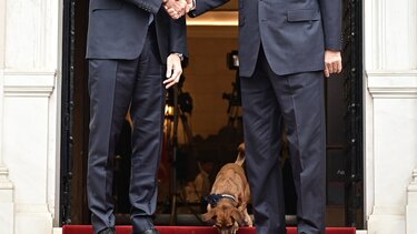 Ένας τετράποδος… διπλωμάτης στο τετ-α-τετ Μητσοτάκη Ερντογαν!