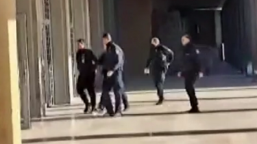 Θεσσαλονίκη: Προφυλακίστηκε ο ιδιοκτήτης των σκύλων που κατακρεούργησαν την 50χρονη