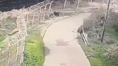 Νεκροί από ισραηλινά πυρά τρεις Παλαιστίνιοι