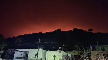 Χορτολιβαδική έκταση έγινε στάχτη στο Ορεινό Ιεράπετρας