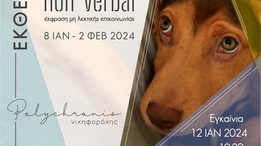 Έκθεση φωτογραφίας «Non verbal – Μη λεκτική επικοινωνία»