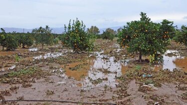 Πλημμύρισαν χιλιάδες στρέμματα καλλιεργειών στη Θεσπρωτία