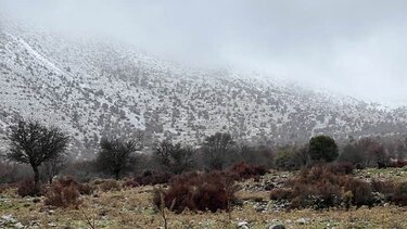 "Έπεσε" το πρώτο χιόνι στο Λιμνάκαρο!