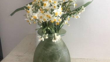 Εκεί που τα μανουσάκια κοιτάνε ψηλά...