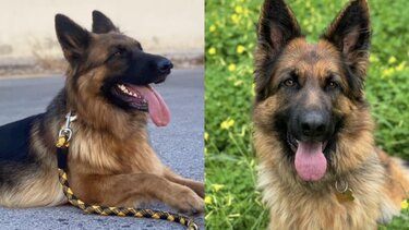 "Αναζητώντας τη Ράντα" - Μια διαφορετική εξόρμηση με... έπαθλο 