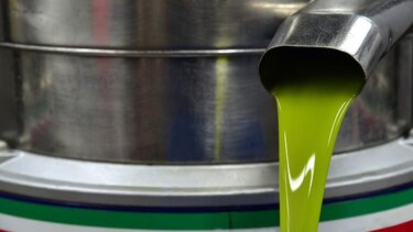 Ομάδα απλήρωτων ελαιοπαραγωγών: Κάλεσμα για συγκέντρωση στην κεντρική πλατεία Σητείας