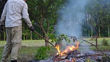 Με προσοχή και επίβλεψη οι καύσεις αλλιώς... πρόστιμα!