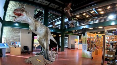 Το Μουσείο Φυσικής Ιστορίας και η ελεύθερη είσοδος