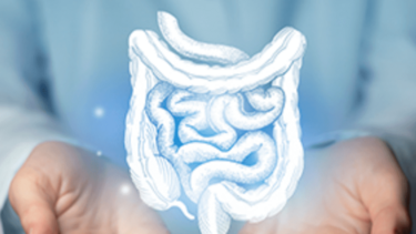 Καρκίνος εντέρου και διατροφή: Πώς συνδέονται;