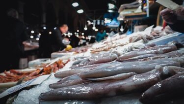 Σαρακοστιανό τραπέζι: Τα SOS του ΕΦΕΤ για τα θαλασσινά