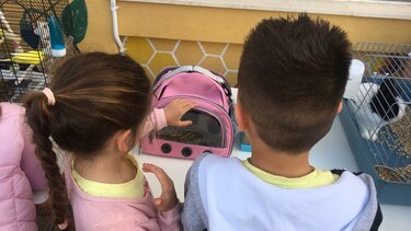 Στο σχολείο με τα κατοικίδιά τους