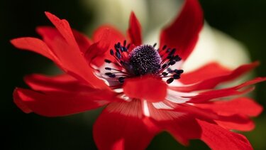 Εθελοντική αιμοδοσία στο Ηράκλειο το Μεγάλο Σάββατο 