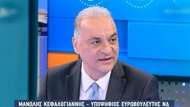 Μ. Κεφαλογιάννης: «Η Ευρώπη έχει πρόβλημα ηγεσίας, η Δύση είναι θύμα των επιτυχιών της»