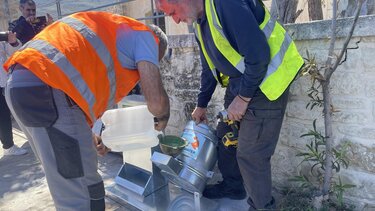 Στοχευμένες δράσεις του Δήμου Χανίων για τα αδέσποτα ζώα συντροφιάς 